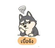 784984950