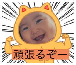 784994800