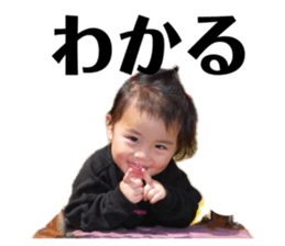 785012446