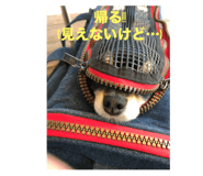 785017187