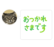 785048981