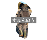 785049816