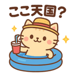 785051142
