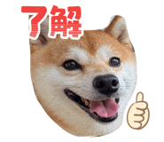785065465