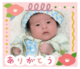 785066202