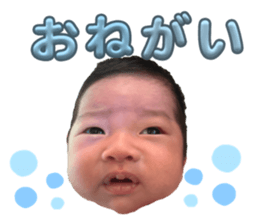 785076082