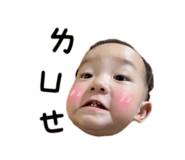 785081309