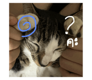 785081383