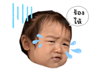 785088675