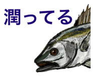 785094091