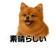 785134534