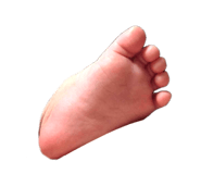 785166680