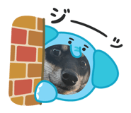 785178646