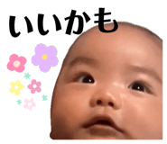 785181620