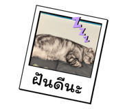 785184376