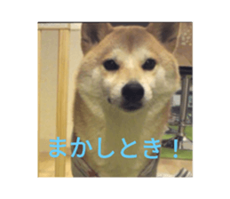 785193473