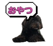 785194584