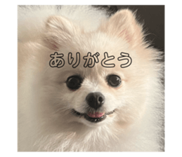785195508