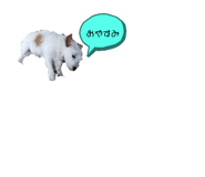 785200641