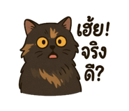 785202304