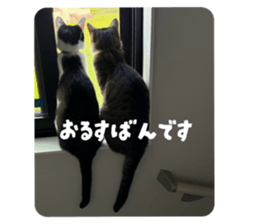 785207876