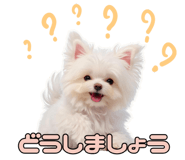 785231232