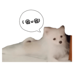 785234590