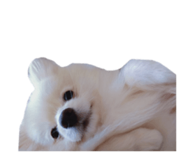 785234600