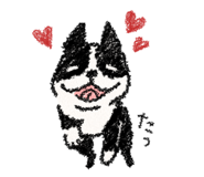7852427
