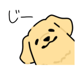 785243897