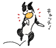 7852441