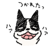 7852450