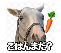 785255313