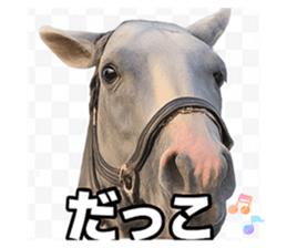 785255314