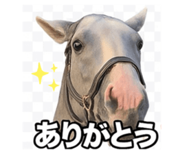 785255317