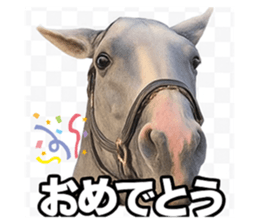 785255318