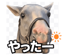 785255319