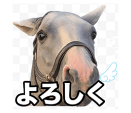 785255320