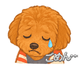 785282585