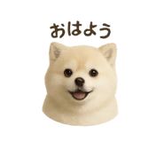 785285177