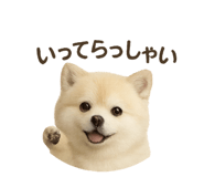785285178