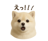785285179