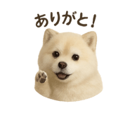 785285180