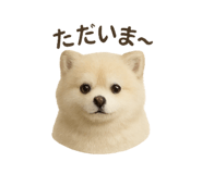 785285184