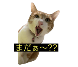 785285890