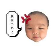 785298116