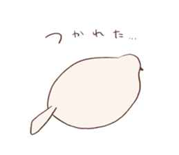 785309029