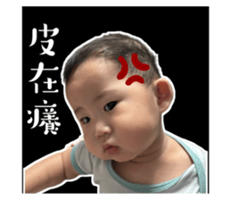 785311211
