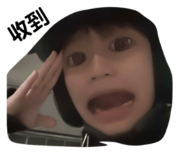 785311816
