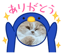 785314574